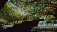 震驚了我的眼球！LG OLED把“瀑布”搬到了展會(huì) 3.gif